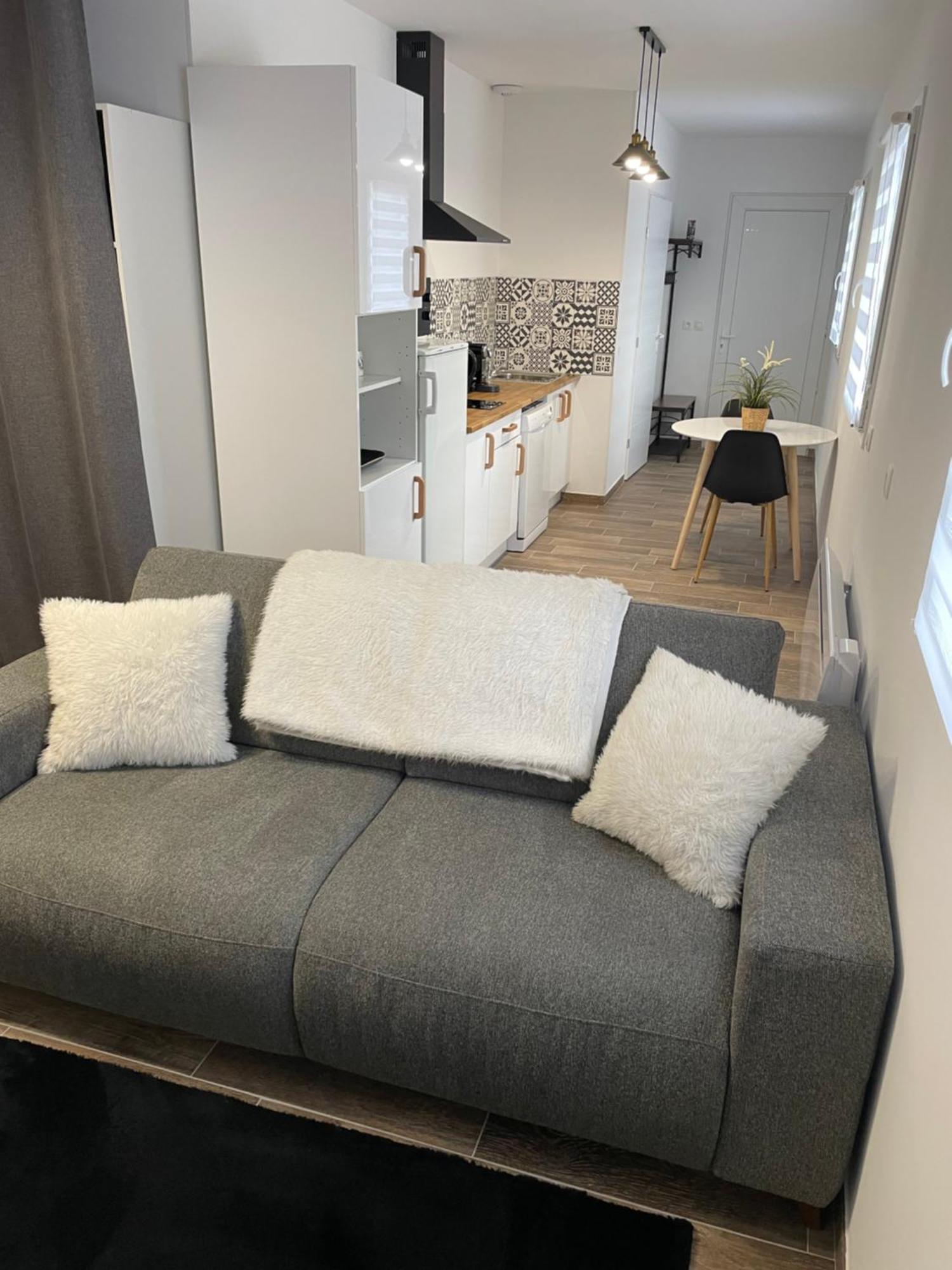 Studio Bien Situe & Tout Equipe Dans Une Maison Scionzier Extérieur photo